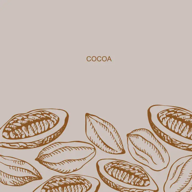Vector illustration of Cocoa set background template. Hand drawn sketch Cocoa beans, and Cocoa tree. Organic product design element for label, banner, poster, emblem, card, logo for café, shop, menu.Vector
