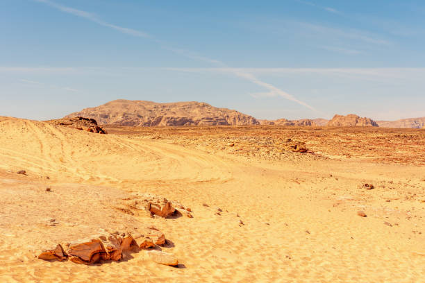 istock Desert with mountains. Sinai, Egypt. 1496103718