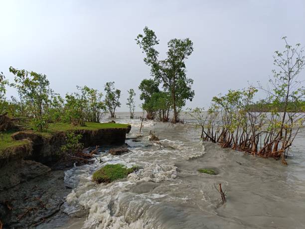The sea shore is breaking