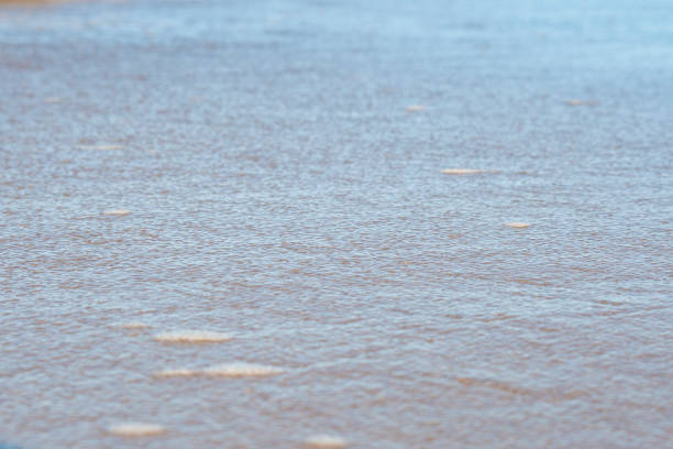 A thin layer of clear water over the sand. A seaside or ecology-themed background with clear sea water over a sandy bottom.