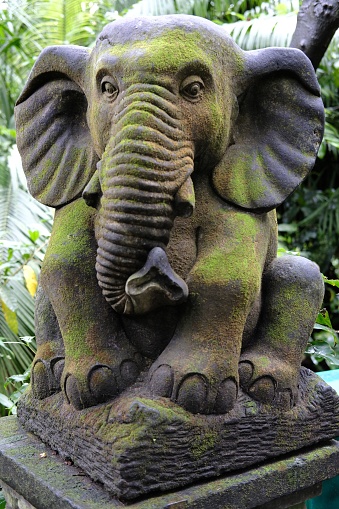 A close-up of a stone elephant statue covered with moss in a garden