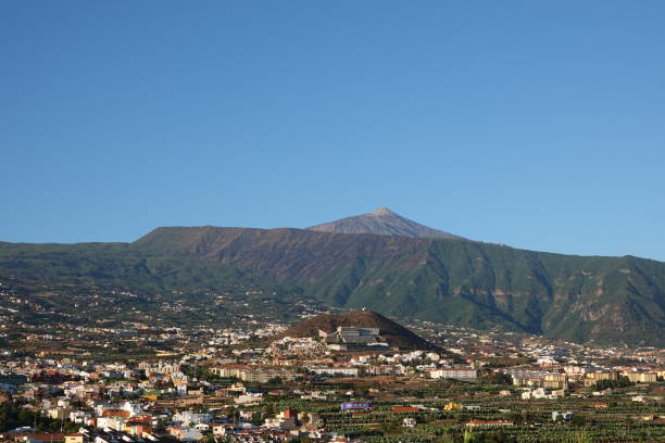 istock Morning hours in Tenerife 1496107572