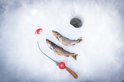 View of fishing rod with catches close to an ice hole opened on a frozen lake, Sweden