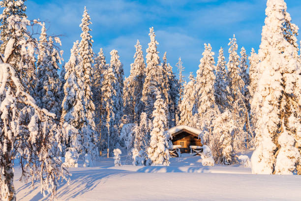 cabaña de madera tradicional en el bosque cubierto de nieve al amanecer, laponia - cabin snow finland lapland fotografías e imágenes de stock