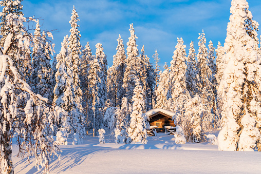 Rustic log house, snow-covered pine trees, big snowdrifts, snowing. Rural beautiful winter landscape. Non-urban scene. New Year, Christmas. Copy space.