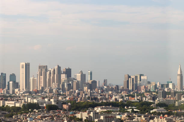 istock Rooftop View Cityscape of Tokyo Skyline 1496111667