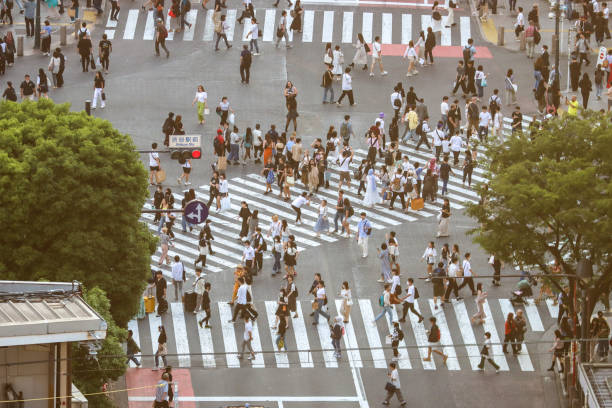 Shibuya Crossing Tokyo, Japan Many people walking cross at Shibuya crossing Tokyo, Japan tokyo crowds on the famous shibuya crossing japan stock pictures, royalty-free photos & images