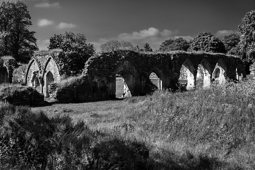 A ruined Augustinian monastery located near the village of Ennis, in County Clare, Ireland. The Abbey, founded in 1189, was the largest and most important of the Augustinian monasteries in County Clare.
