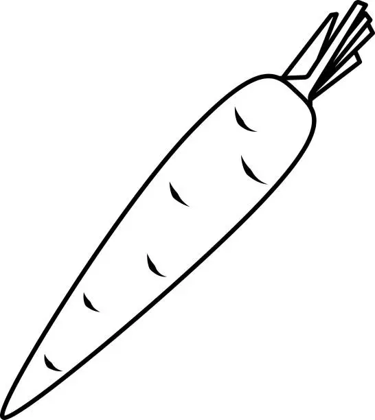 Vector illustration of vector linear icon carrot, proper nutrition, vegetarian food, greens and vegetables, doodle and sketch