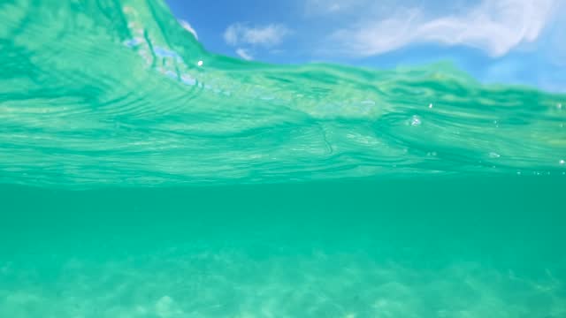Half underwater slow motion of clear turquoise sea water. Idyllic vacations in the resort at the tropical white sand beach with palm trees on the Caribbean
