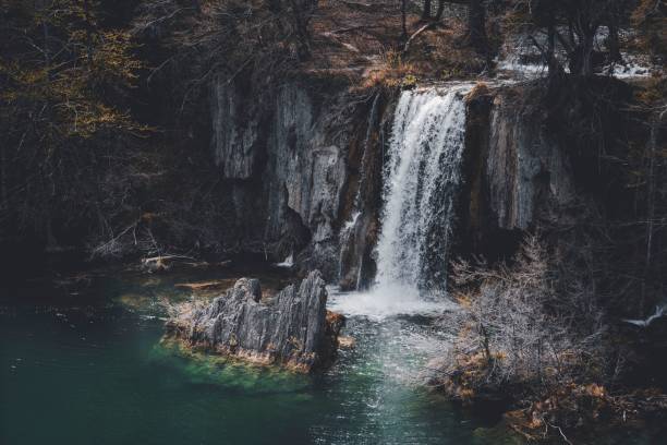 A scenic view of a lush tropical waterfall cascading down a rocky cliff face in a forest