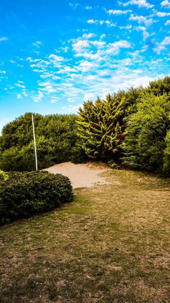 Nature and trees in Villa Gesell