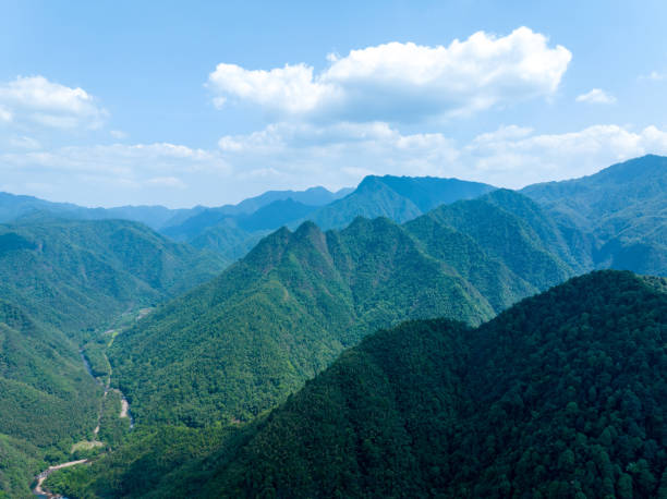 istock aerial photography forest 1496117486