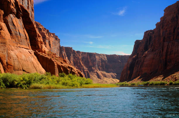 istock Colorado River Arizona 1496117673