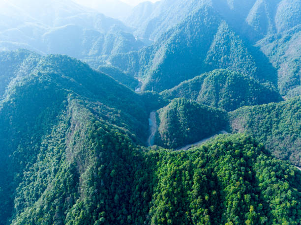 istock aerial photography forest 1496117686