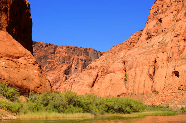 istock Colorado River Arizona 1496117766