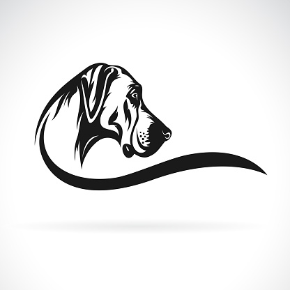 Vector of a great dane dog breed head design on white background. Pet. Animals. Vector illustration.