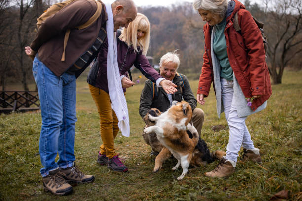istock Mature people petting dogs 1496124234