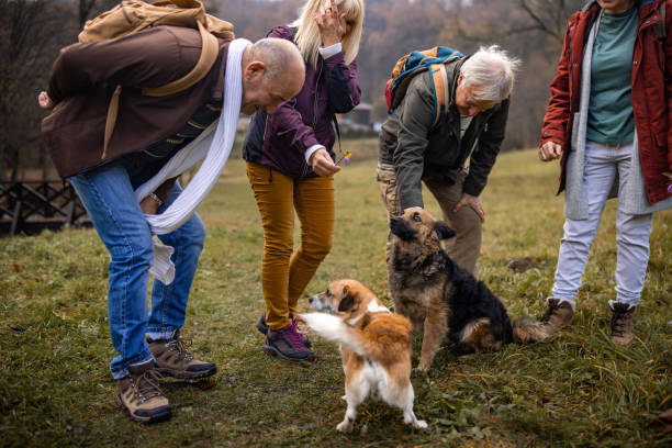 istock Mature people love dogs 1496124371