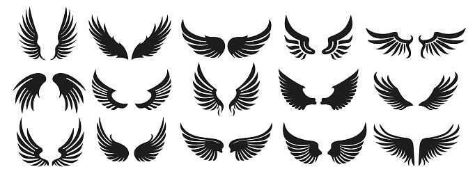 Collection of black vector wings for logo or emblem design. Bird wings, angel wings elements.