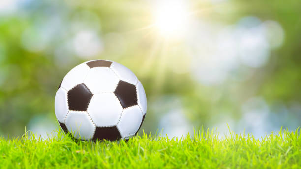 istock Football in the grass 1496125907