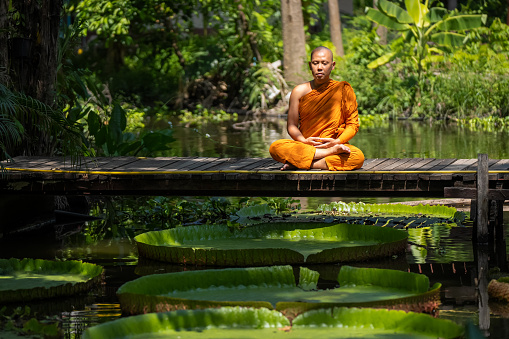 buddhist novice are praying buddha statue in wat suan dok ,chiang mai ,Thailand.