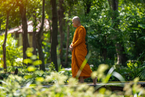 A monk walks and practices at a temple in the jungle of Thailand.