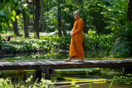A monk walks and practices at a temple in the jungle of Thailand.