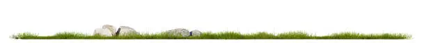 Photo of grass line and rock isolated on white background for tree replacement and your element