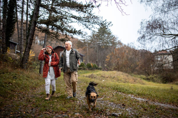 istock Mature couple in nature 1496129368