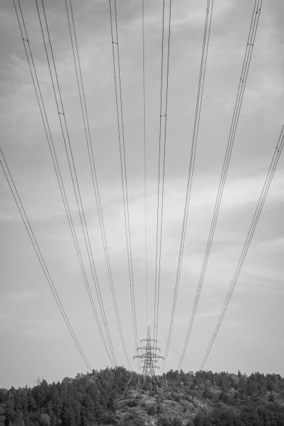 istock Low angle view of cables against sky 1496129837