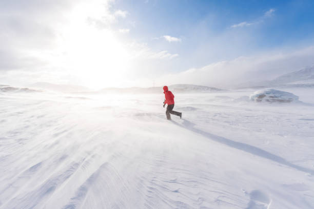 istock Hiker in the winter landscape 1496129896