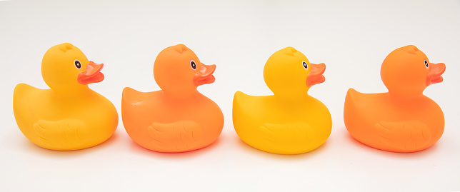 Î¥ellow and orange color rubber ducks isolated on transparent background, Ducks in a row.
