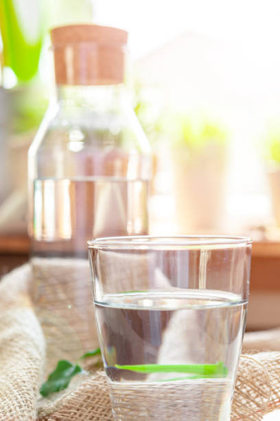 istock Bottle with clean water and the green leafs background close up 1496131033