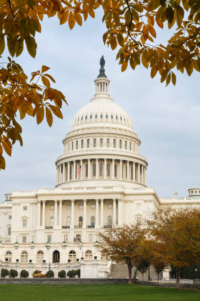 istock United States Capitol Building, Washington DC 1496132065