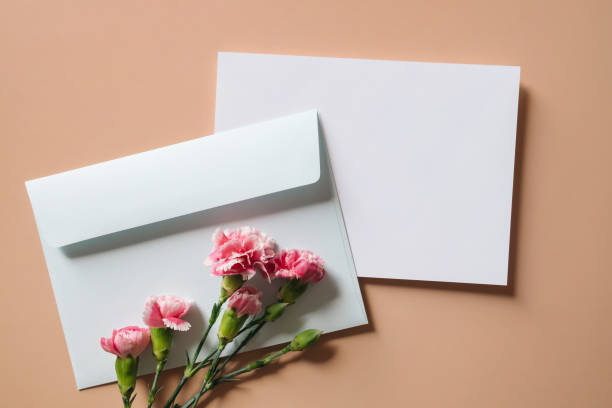 istock White blank greeting or invitation card and envelope with white flowers decoration on beige background. Mock up presentation. 1496132087