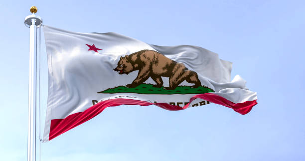 istock California State flag waving on a clear day 1496134873
