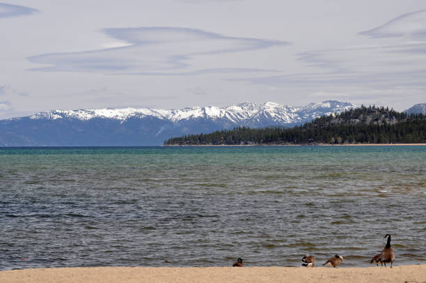 istock Lake Tahoe and Eldorado National Forest, California 1496138318