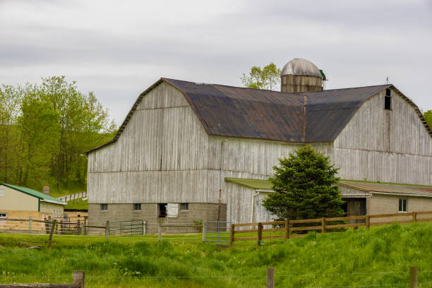 istock Amish Country in rural Ohio, USA 1496140164
