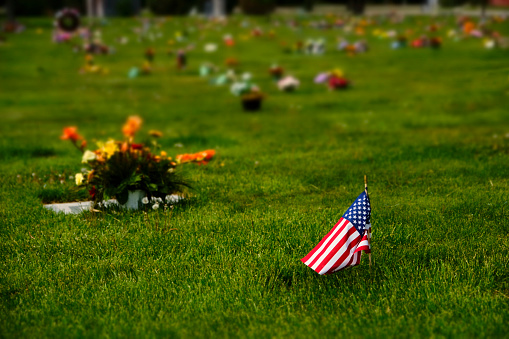 Cemetery or grave yard with green grass and isolated American flag and blurry background