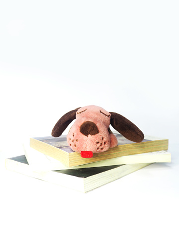 bear and dog doll on white background with book and cone