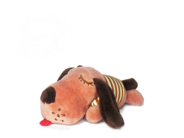 bear and dog doll on white background with book and cone