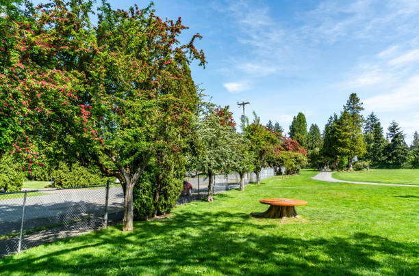 istock City Park Flowering Trees 1496141902