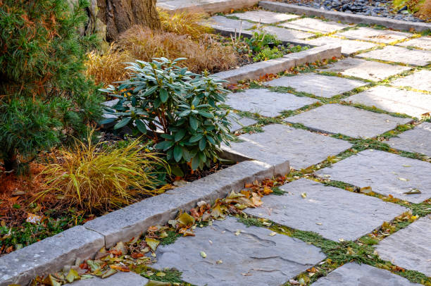 istock Flagstone patio in a luxury backyard garden. 1496142537