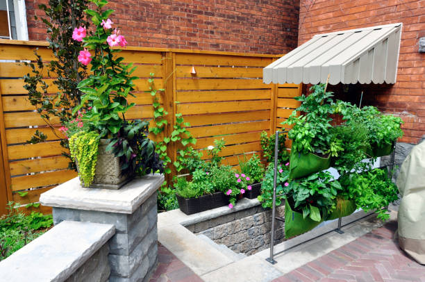 istock Luxury landscaping with backyard walkout and seat wall. 1496142847