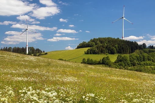 wind power plants and springtime meadow in the foothills of the Jeseniky Mountains, Czech Republic