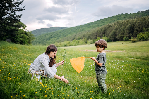 Young boy and his mom collecting logs for campfire in the woods