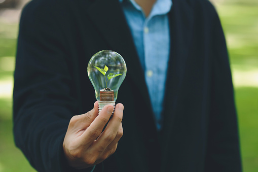 Businessman holding light bulb with plants growing from money investment and financial metaphor. Saving money and financial and business growth.Green business growth, Eco business investment.