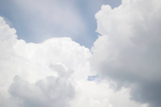 delikatne chmury na błękitnym niebie. duże kręcone chmury białego koloru na bladoniebieskim niebie. - meteorology elegance outdoors loving zdjęcia i obrazy z banku zdjęć