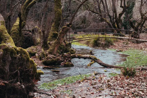 Photo of Planitero village forest landscape near Kalavryta